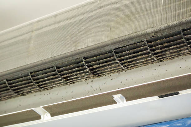 Best Dryer Vent Cleaning in Ahtanum, WA