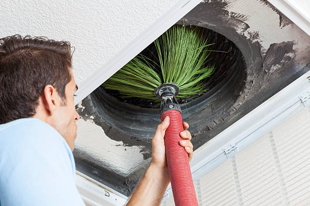 Best Mold and Mildew Removal from Ducts in Ahtanum, WA